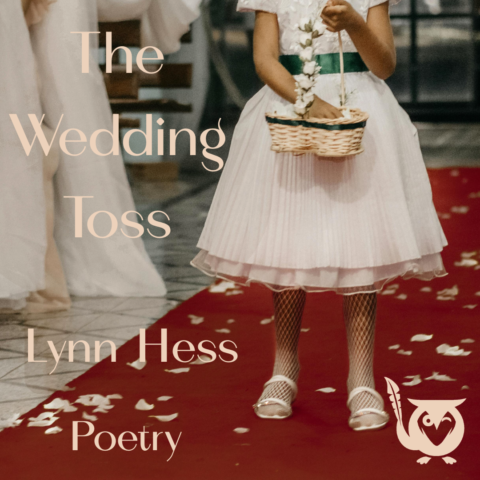 A young flower girl stands on a red carpet aisle scattered with white rose petals, holding a wicker basket as she prepares to toss more along the path. She wears a white dress with a green ribbon and white shoes, while the edge of the bride’s gown appears just behind her. rose petals TEXT: The Wedding Toss, Lynn Hess, Poetry