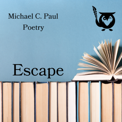 A row of books stands neatly side by side with one open book resting on top, fanned pages spread wide, set against a soft blue background. maze of books Text: Michael C. Paul, Poetry, Escape.