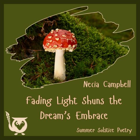A red and white spotted mushroom grows from a patch of bright green moss on the forest floor. shortest night Text: Fading Light Shuns the Dream's Embrace, Necia Campbell, Summer Solstice Poetry.