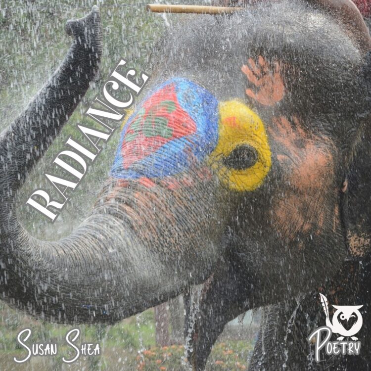 An old painting of a close up of an elephants face and trunk painted with decorations and hand prints. Holi festival Text: Radiance, Susan Shea, Poetry