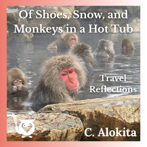 Picture of Japanese monkeys in a natural steam bath on someone's solo trip to Japan. TEXT: Of Shoes, Snow, and Monkeys in a Hot Tub - Travel Reflections - C. Alokita