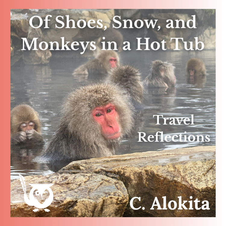 Picture of Japanese monkeys in a natural steam bath on someone's solo trip to Japan. TEXT: Of Shoes, Snow, and Monkeys in a Hot Tub - Travel Reflections - C. Alokita