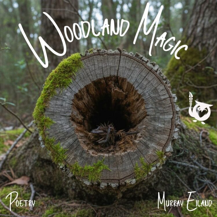 A broken tree trunk with a gaping hole in the middle. centipedes Text: Woodland Magic, Murray Eiland, Poetry