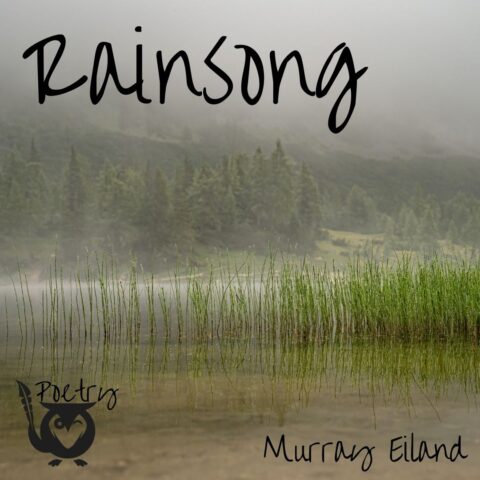 Image of rain falling on a rush-filled marsh - TEXT: Rainsong - Poetry - Murray Eiland