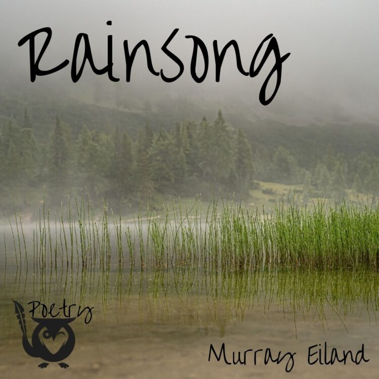 Image of rain falling on a rush-filled marsh - TEXT: Rainsong - Poetry - Murray Eiland