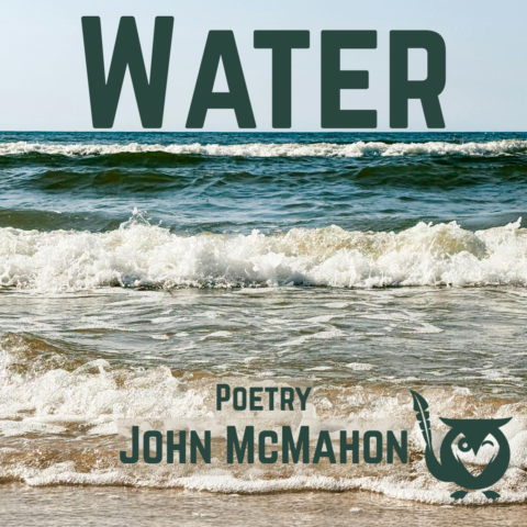 A view of the ocean waves rolling in with the a blue skyline in the background. fractured arteries Text: Water, John McMahon, Poetry