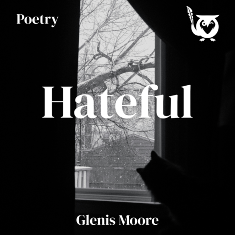 A cat looking out of a window into the winter snow. Hateful Text: Hateful, Poetry, Glemis Moore