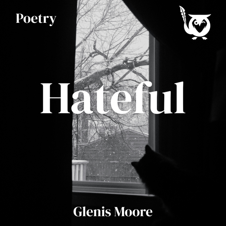 A cat looking out of a window into the winter snow. Hateful Text: Hateful, Poetry, Glemis Moore