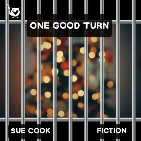 A blurred christmas tree with lights sitting behind a cage. killing spree Text: One good turn, Sue cook, fiction