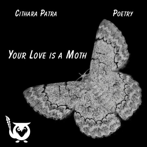 A close up of a white and black moth against a solid black background. moth Text: Your love is a moth, Cithara Patra, Poetry