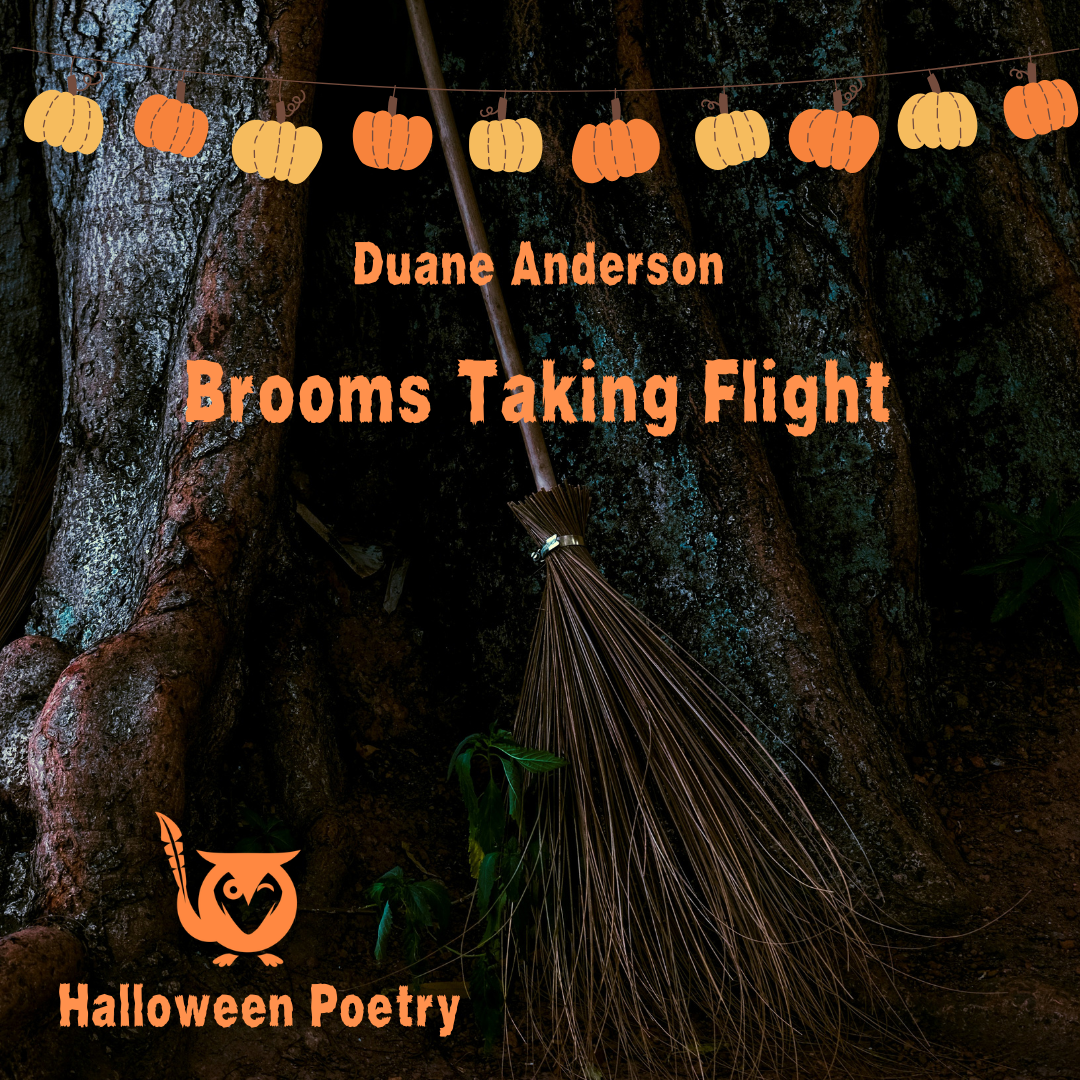 A witch's broom leaning against a dark tree with a string of illustrated pumpkins at the top. ride the skies Text: Brooms taking flight, Duane anderson, halloween poetry