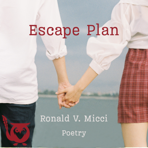 A couple holding hands facing the ocean. embedded Text: Escape Plan, Ronald V. Micci, Poetry